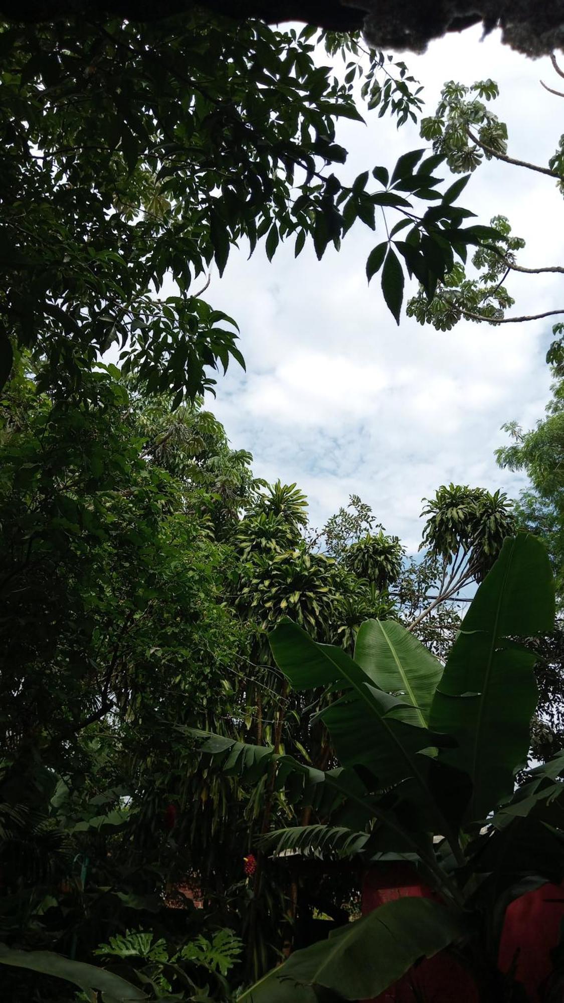 Posada Maria Iguazu Puerto Iguazú Dış mekan fotoğraf