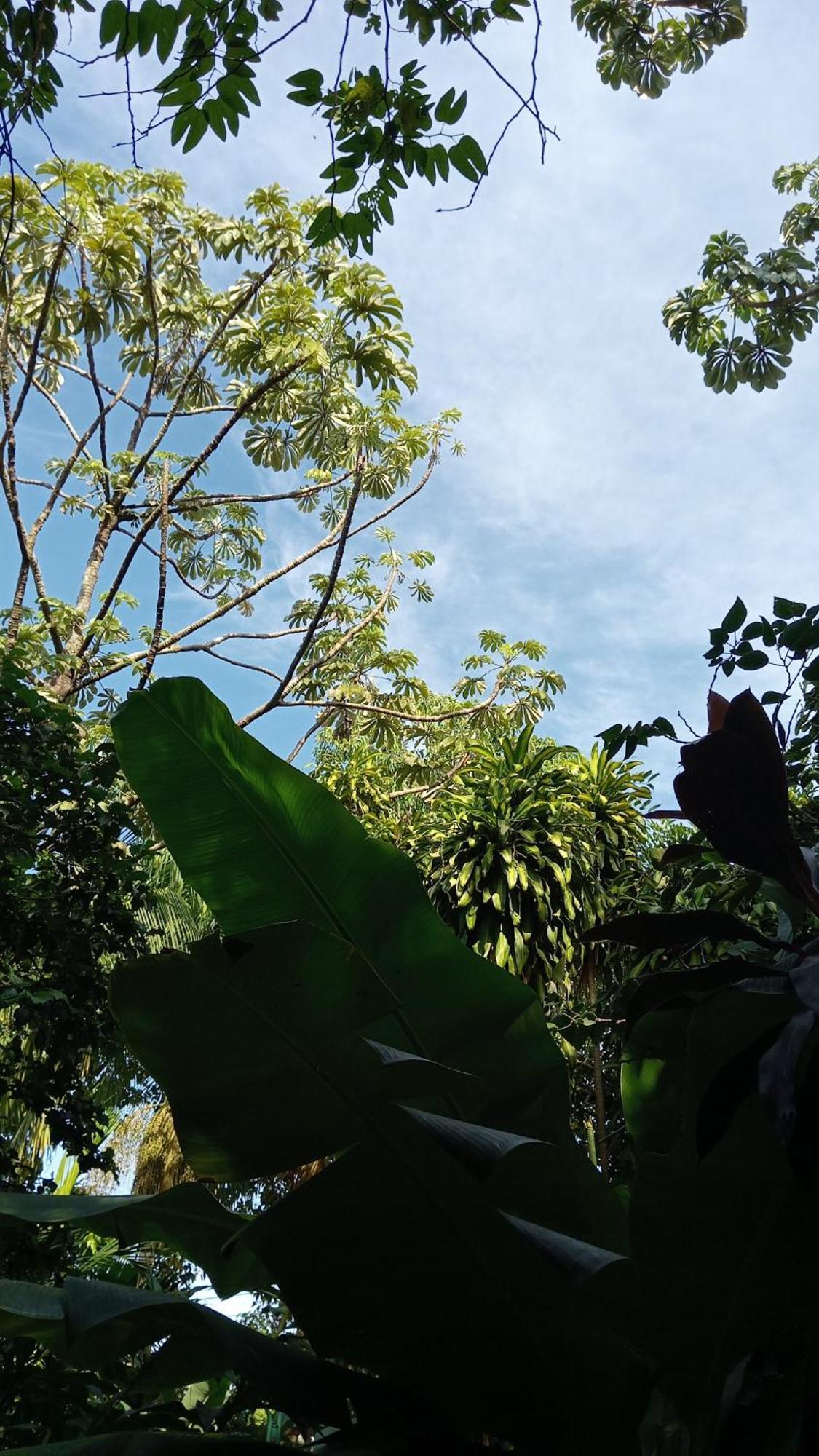 Posada Maria Iguazu Puerto Iguazú Dış mekan fotoğraf