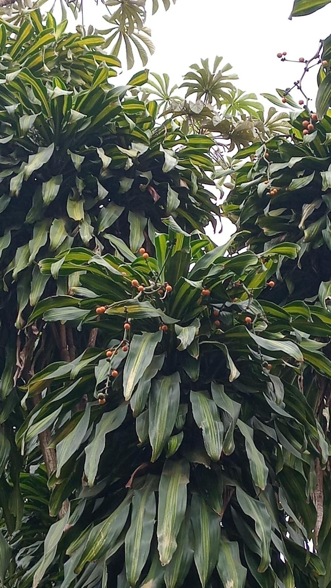 Posada Maria Iguazu Puerto Iguazú Dış mekan fotoğraf