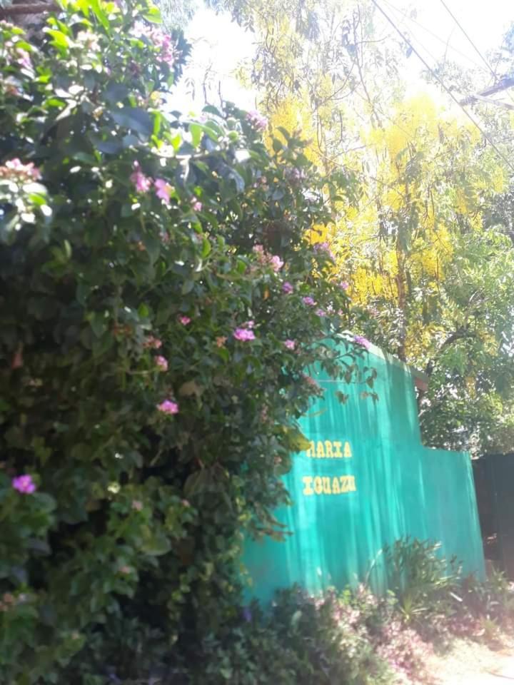 Posada Maria Iguazu Puerto Iguazú Dış mekan fotoğraf
