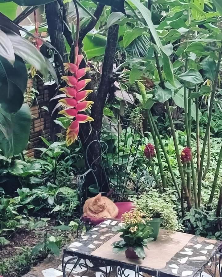 Posada Maria Iguazu Puerto Iguazú Dış mekan fotoğraf