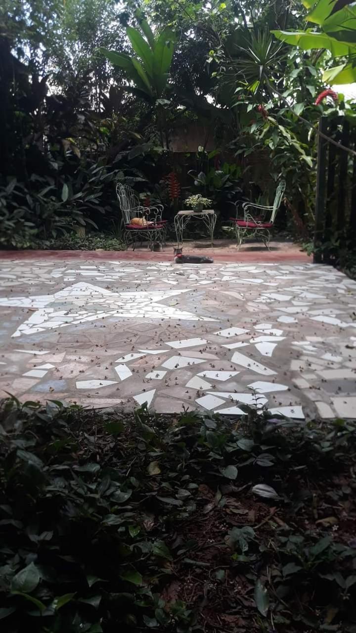 Posada Maria Iguazu Puerto Iguazú Dış mekan fotoğraf