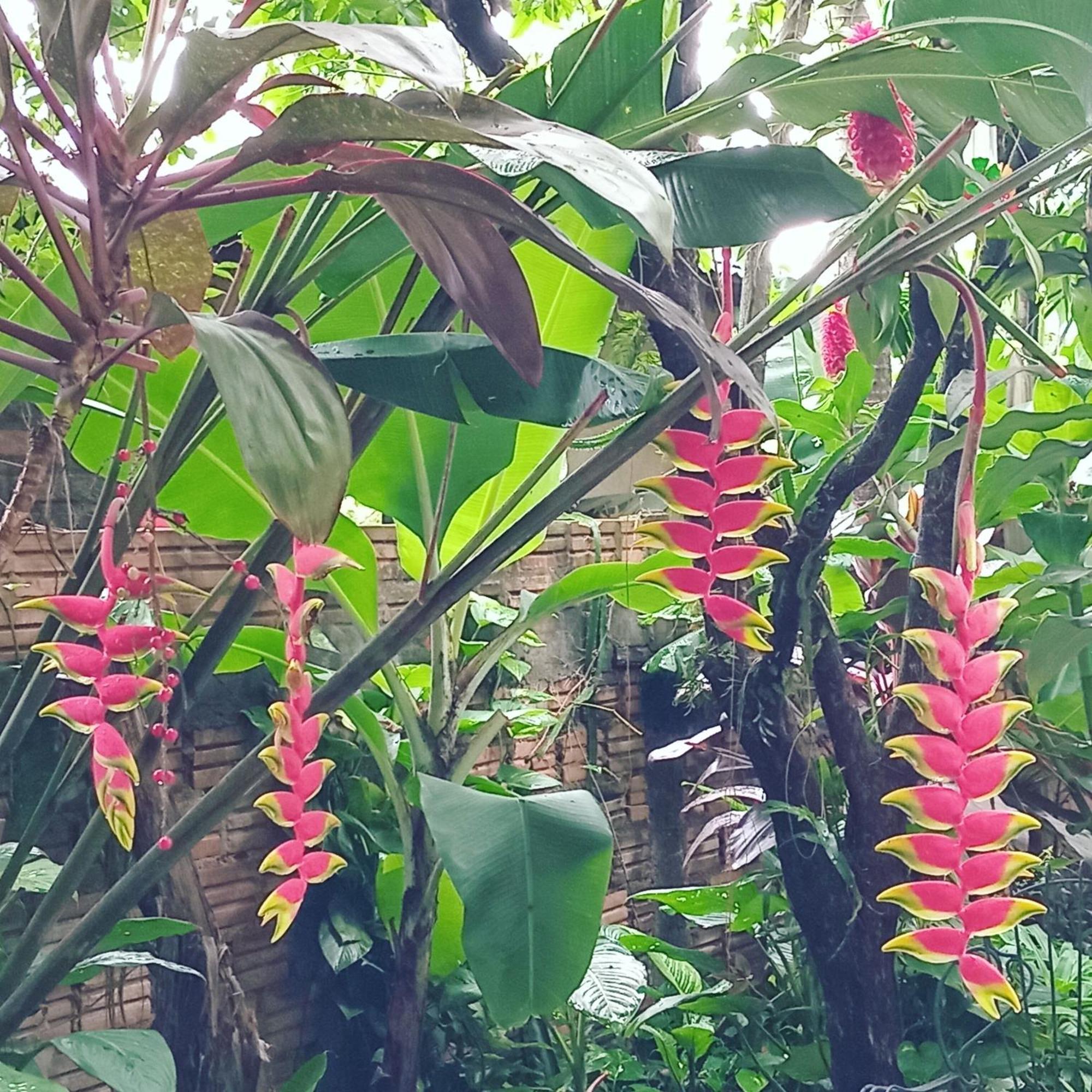 Posada Maria Iguazu Puerto Iguazú Dış mekan fotoğraf