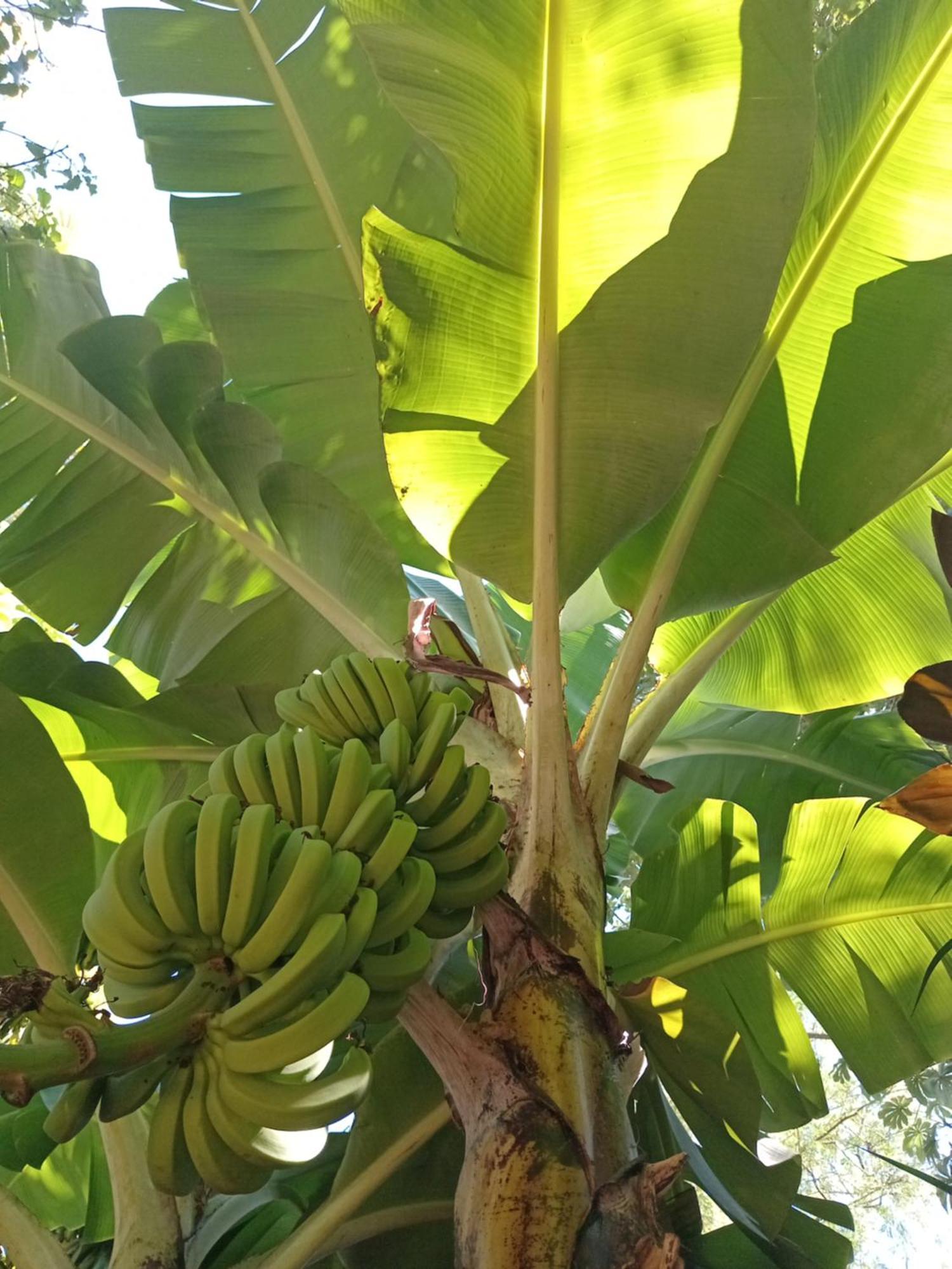 Posada Maria Iguazu Puerto Iguazú Dış mekan fotoğraf